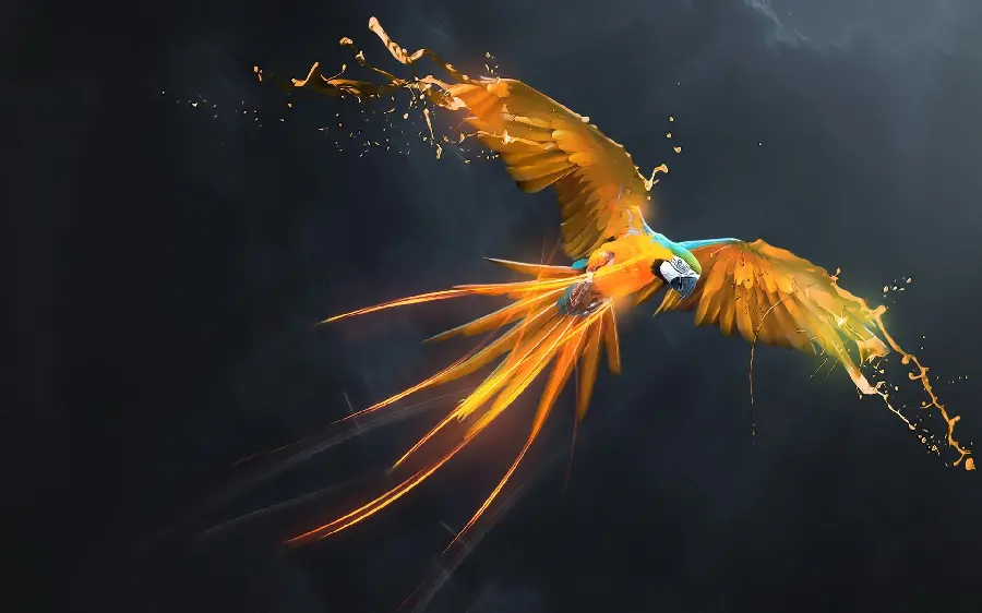 Special digital photo of a blue-gold macaw for desktop 1401