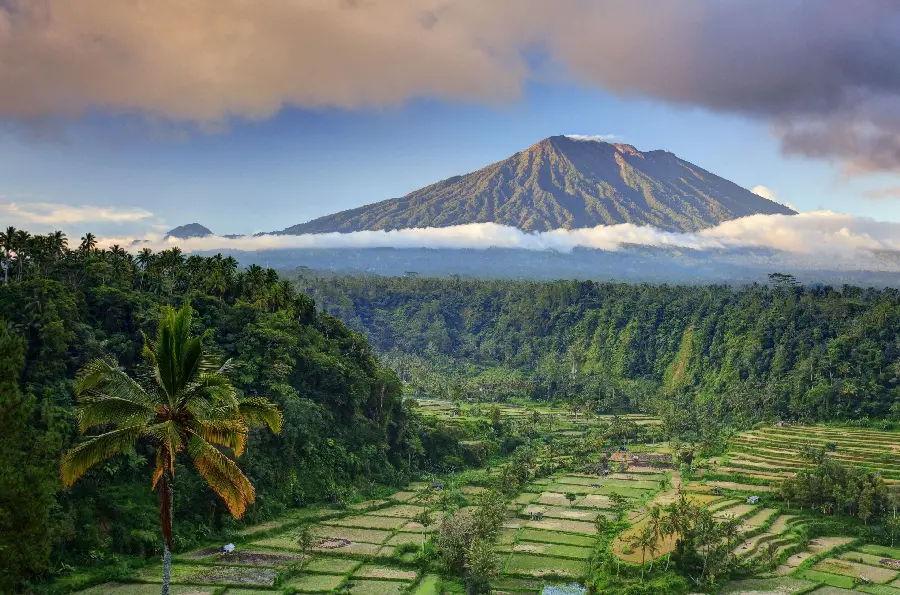 Picture of lush Balinese rice fields and beautiful high mountains