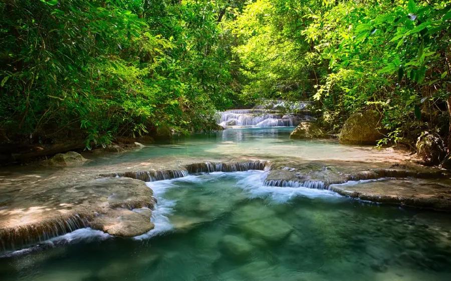 Photo of forest lake High quality for background