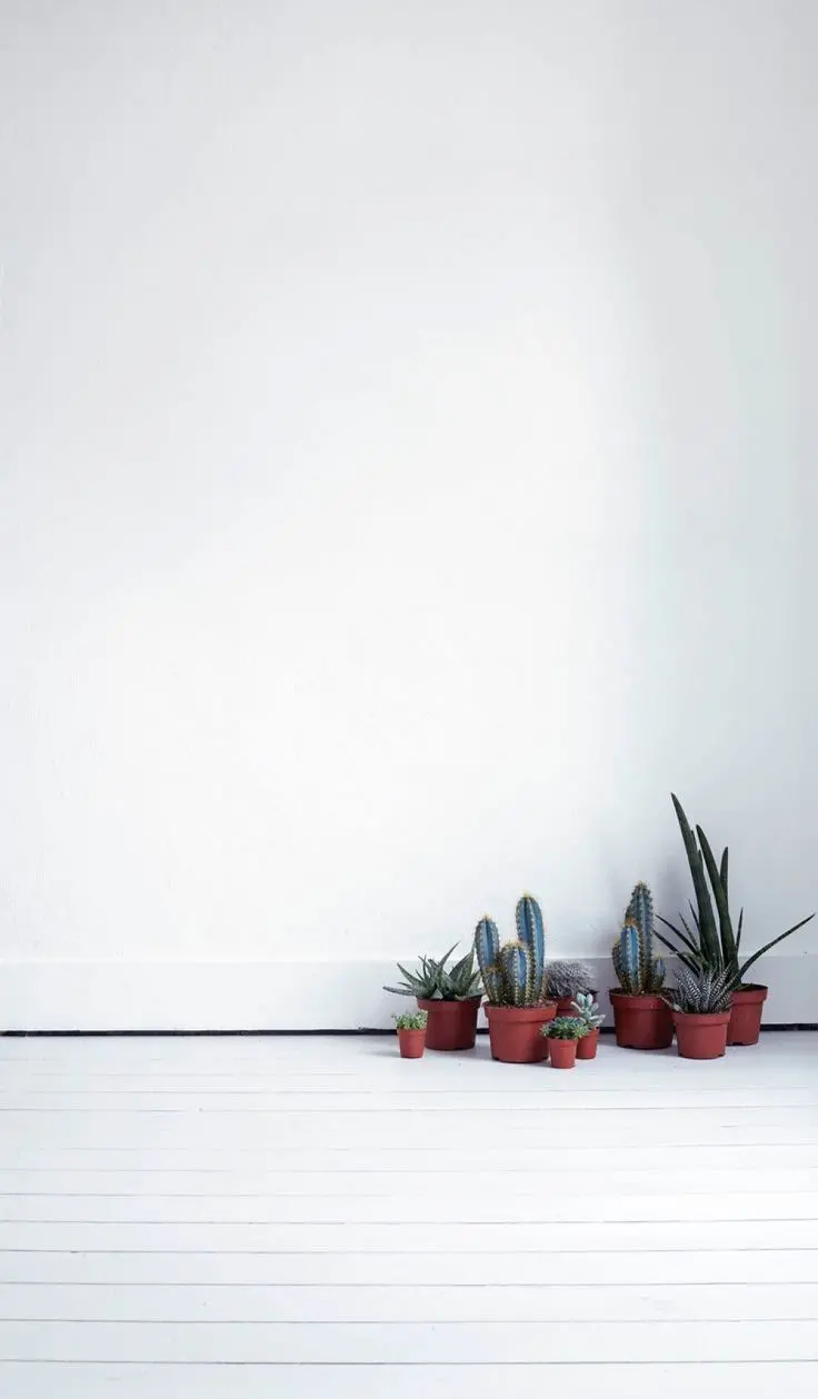 White wallpaper for iPhone Samsung and Xiaomi