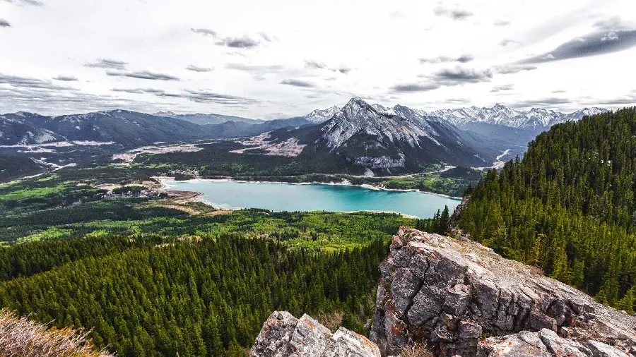 Canada Spring Nature Photo