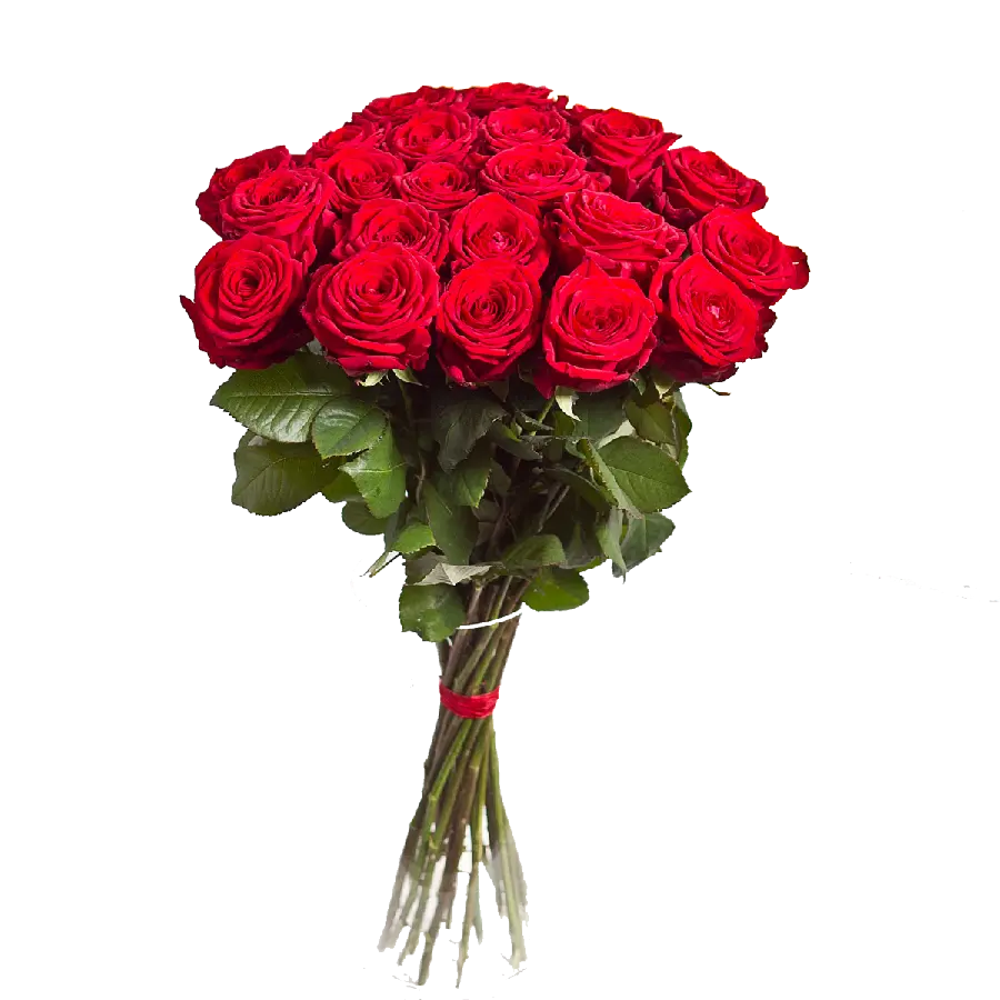 Red Rose Bouquet PNG for InShot