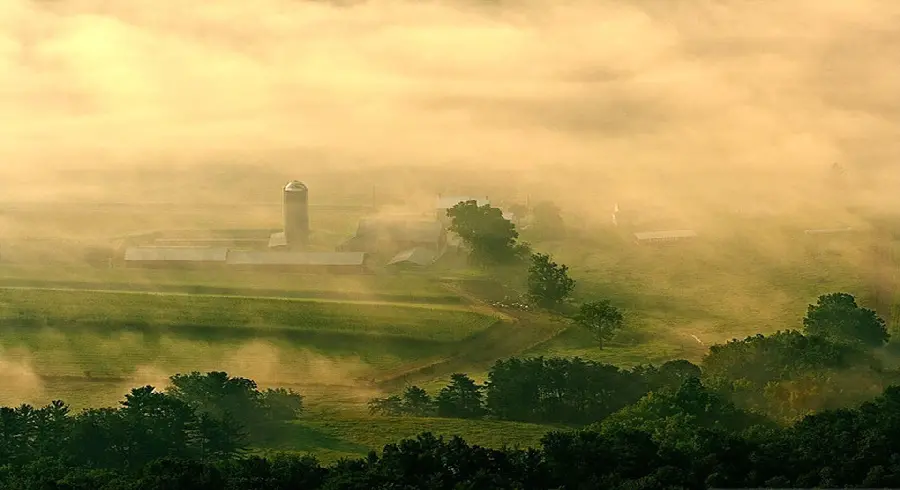 High quality rainy spring morning landscape photo