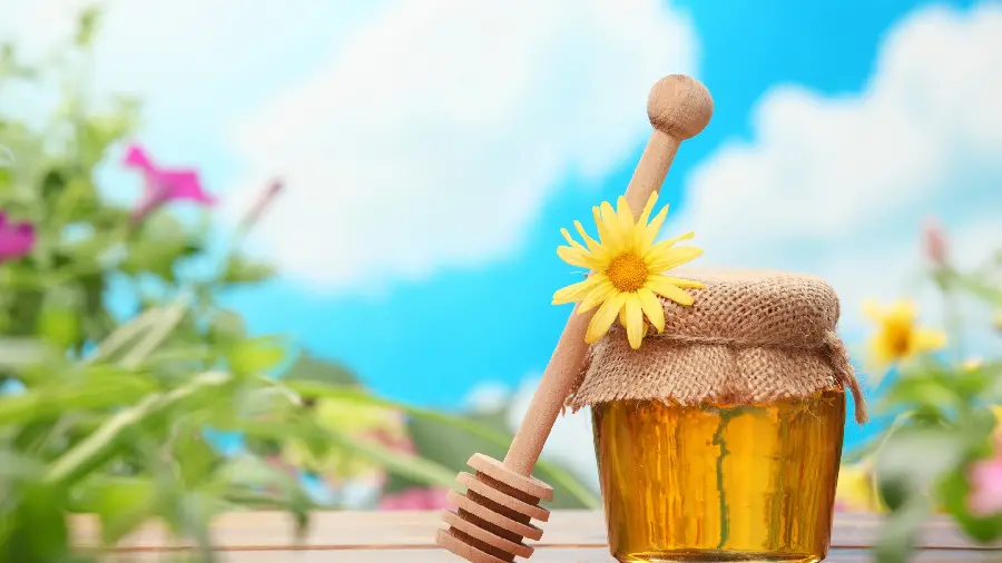 Spectacular Honey Pot Background with Nature Background for Laptop