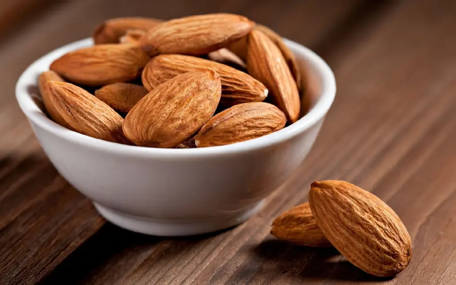Almond Photo Useful for Health in High Quality