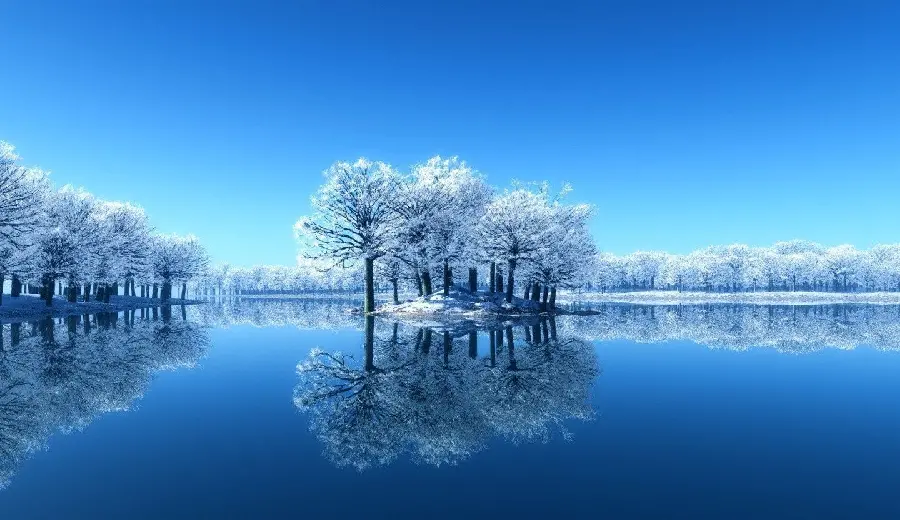 Beautiful Lake and Snowy Trees in Winter
