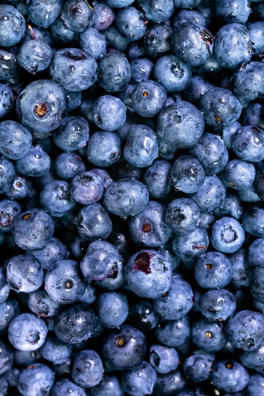 10K Blueberry iPhone Background