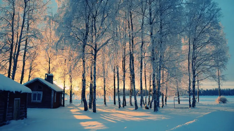 Wallpaper of the forest and hut in the season Winter