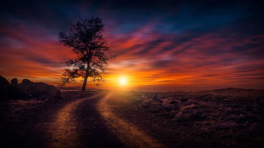 Download Nature Wallpaper Dirt Road and Sunset 