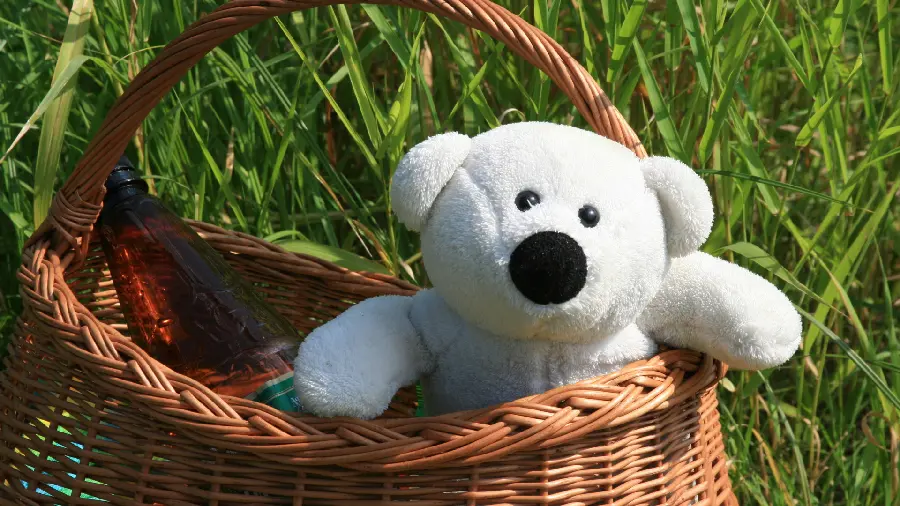 A spectacular view of a white bear in a basket for background