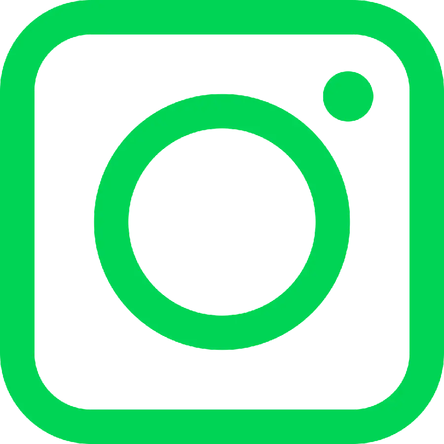 Simple green Instagram logo photo without background