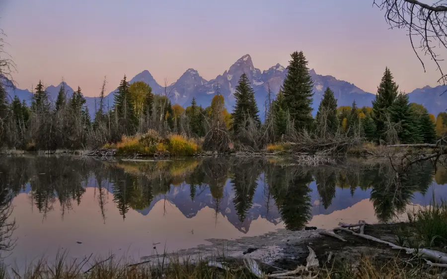 The newest Samsung Background with a pristine nature design