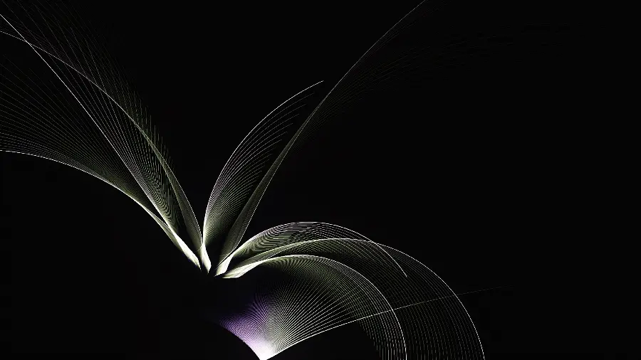 Best Dark Laptop Wallpaper Lovely Geometric Petal Design