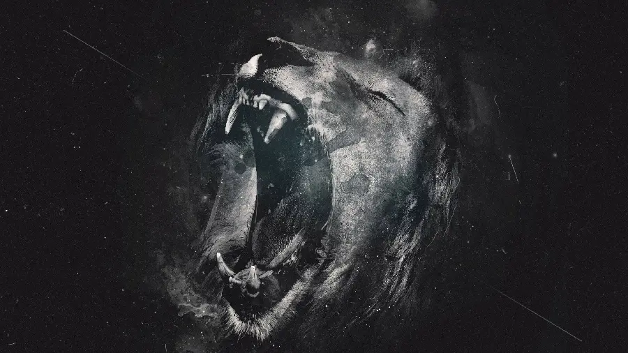 Black and White Lion Roaring Photo