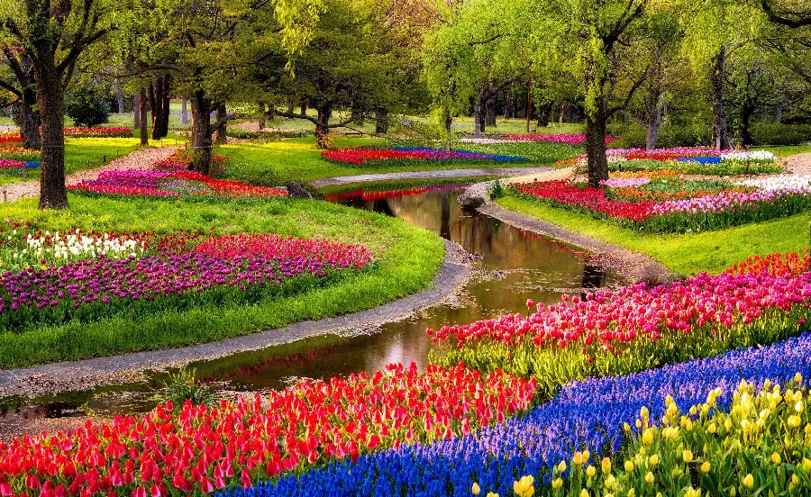 Popular Picture of Colorful Flower Garden in Park in Beautiful Spring Season