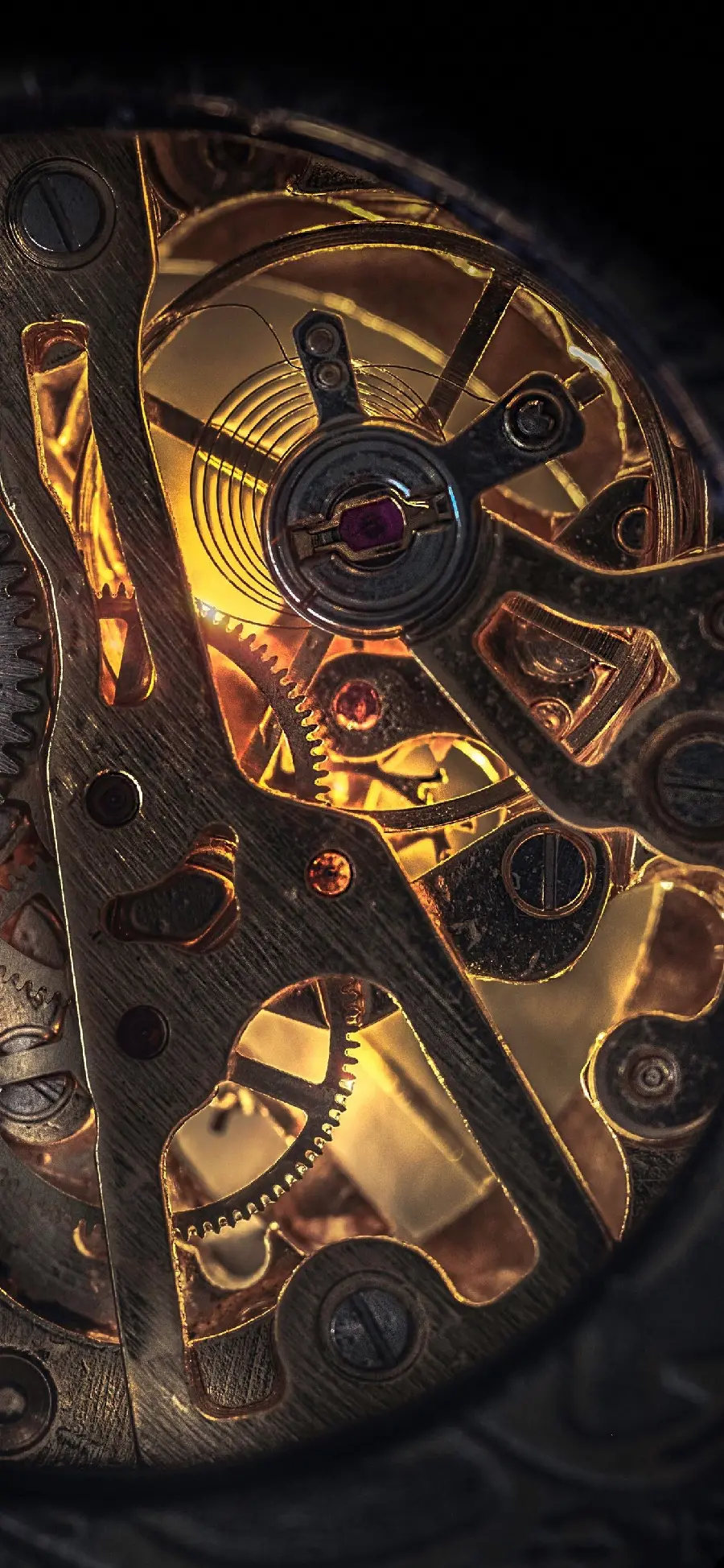 Download the Hottest Shiny Gold Gear Picture 2023
