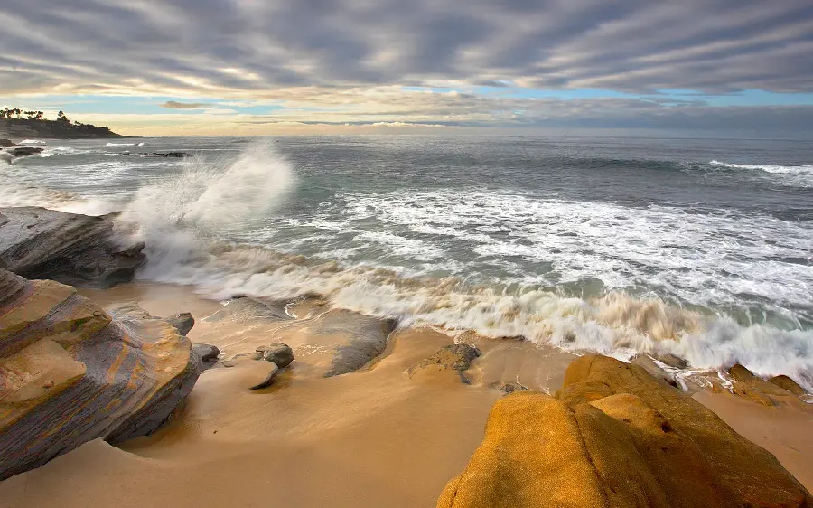 Best photo of stepped nature on the seashore for banner
