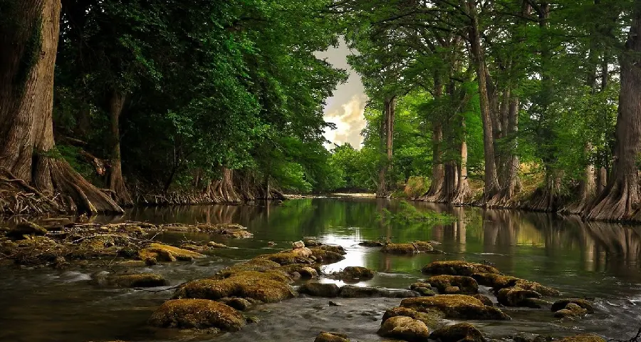 The most downloaded nature wallpaper for laptops of a beautiful pond in the forest 1401