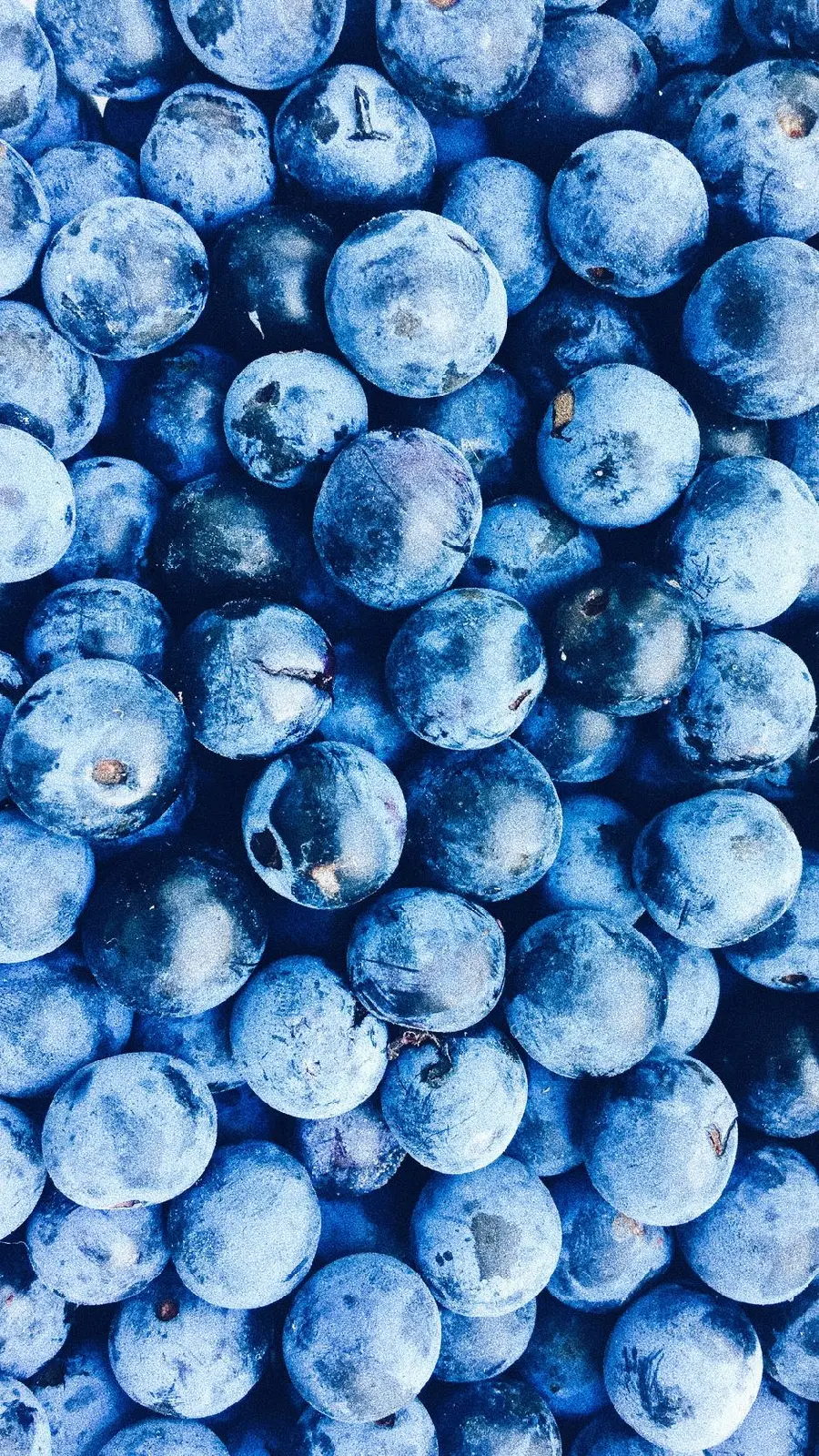 Blueberry Fruit Photo in HD Quality