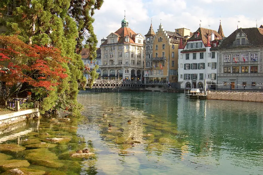 Scenic wallpaper of beautiful water with beautiful trees next to it 