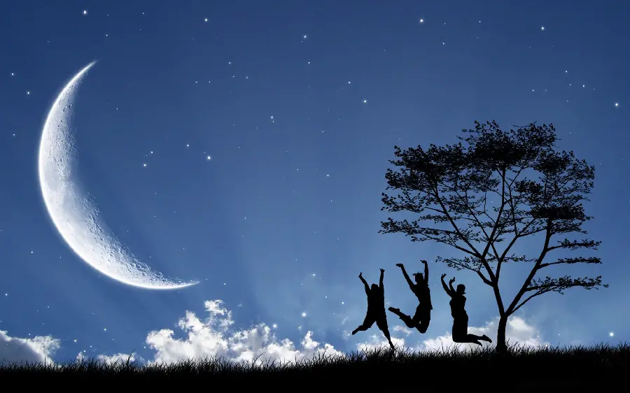 Free download of a spectacular full hd profile with the subject of happiness under the night moon