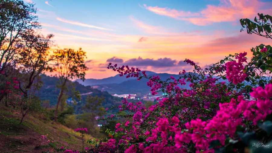 Infinitely beautiful photo of the spring landscape 8K