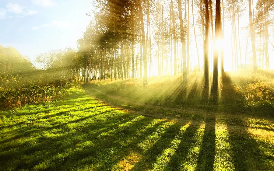 Sunrise profile photo for nature lovers