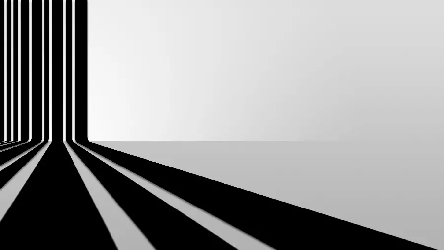 Shadow photo with black and white color