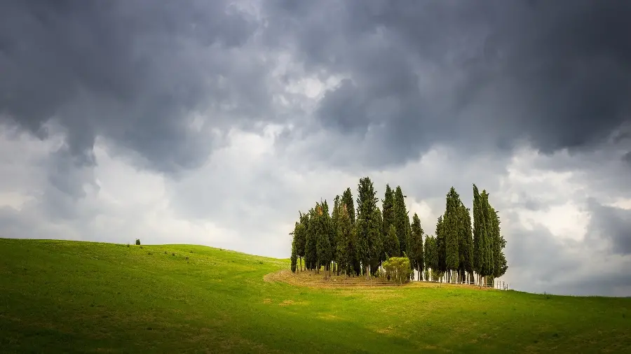 Cloudy sky background next to green trees in HD quality