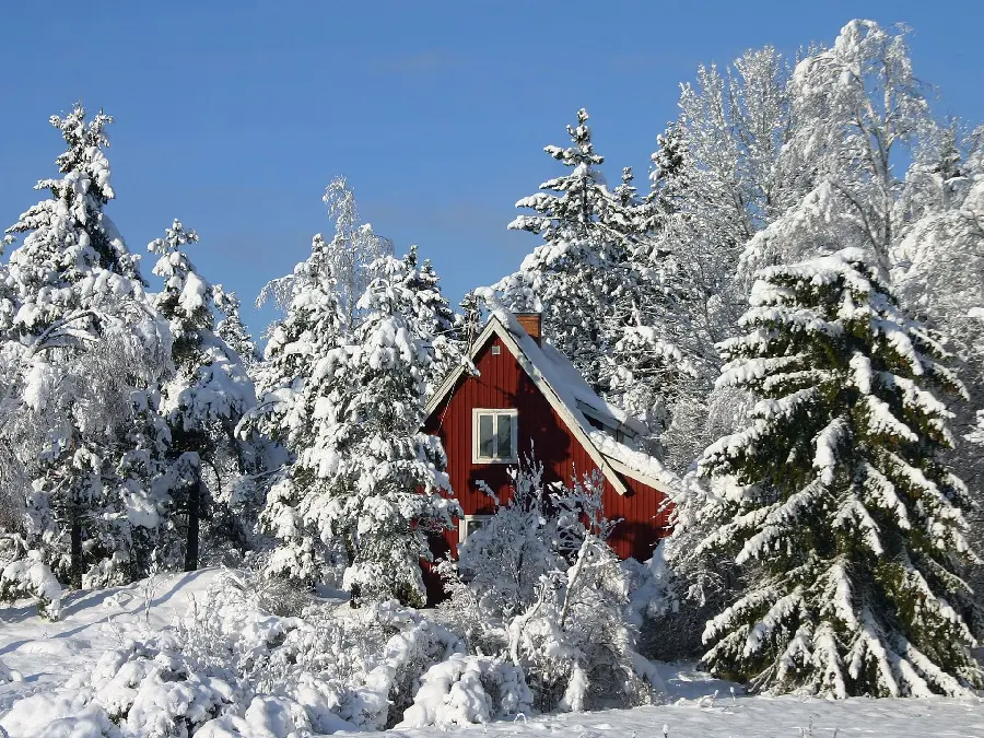 Latest Profile Picture of Snowy Red House in Scandinavia	