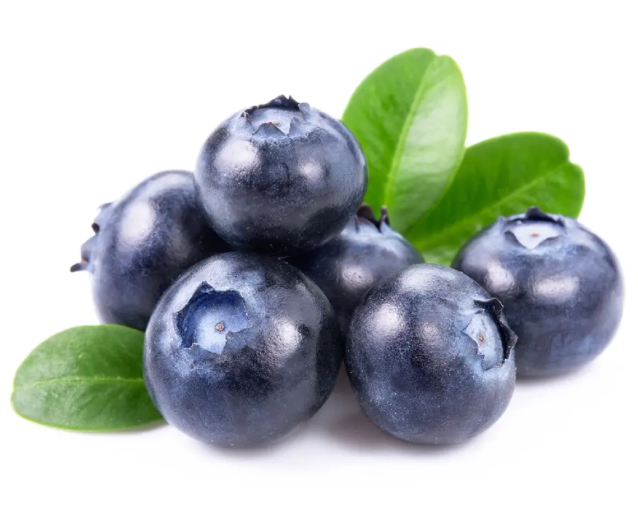 Beautiful and high-quality image of blueberry fruit