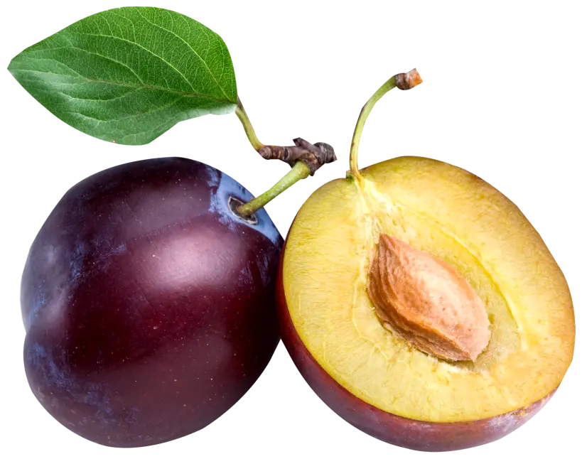High Quality Black Plum Fruit Inside Photo With Kernel