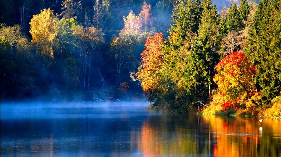 Colorful autumn nature photo on the edge of the river water in excellent quality