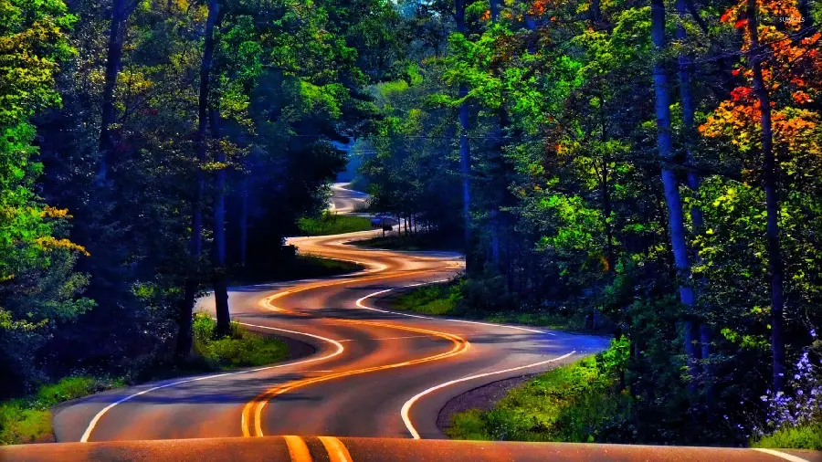 The most visible Background of a forest winding road in the spring