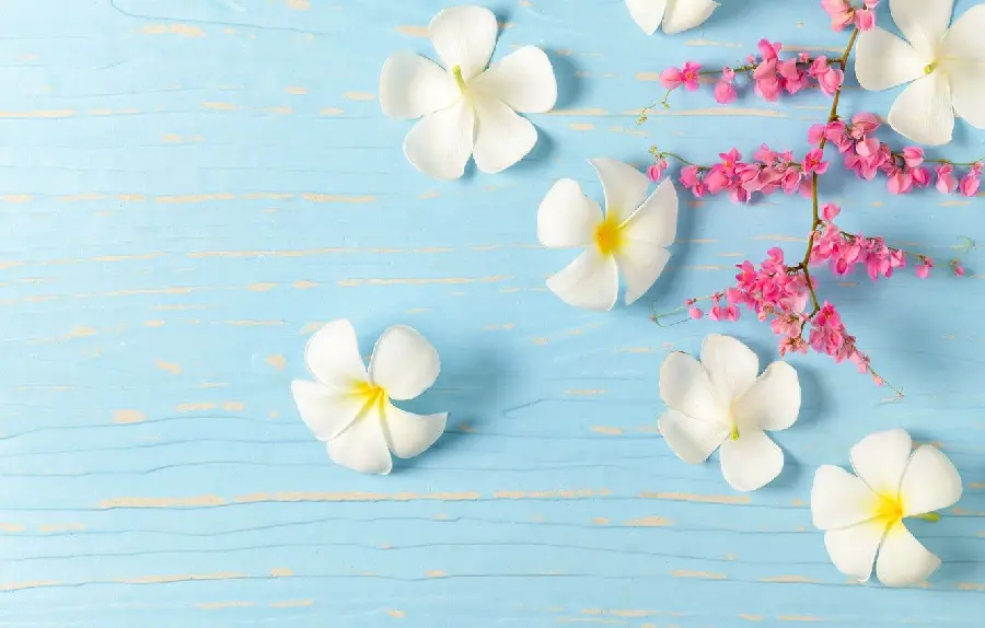 Beautiful PowerPoint background with a plumeria flower design
