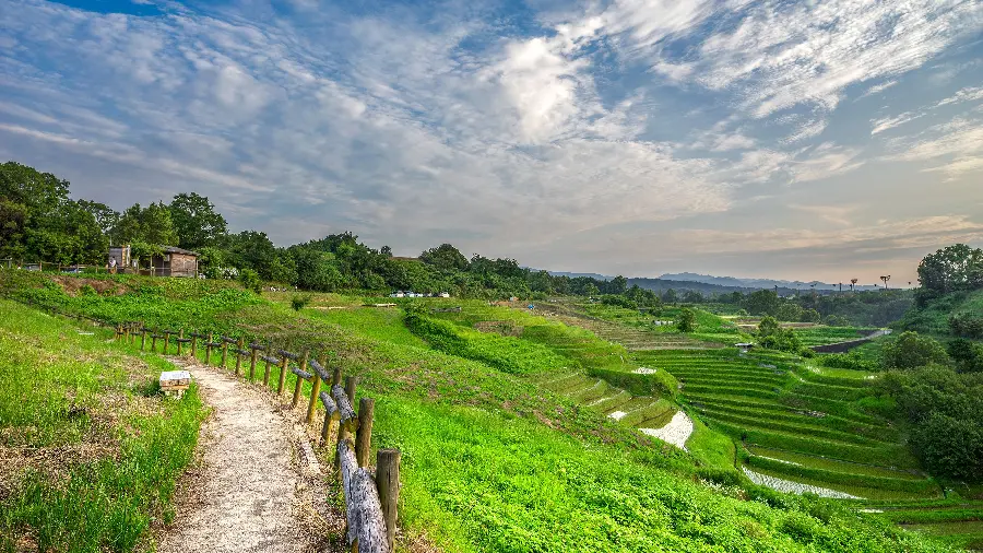 Download 8K Japan Nature Image