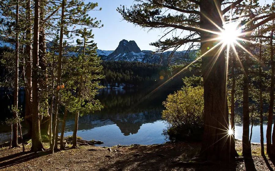 Photo of the dazzling sun in nature for poster printing