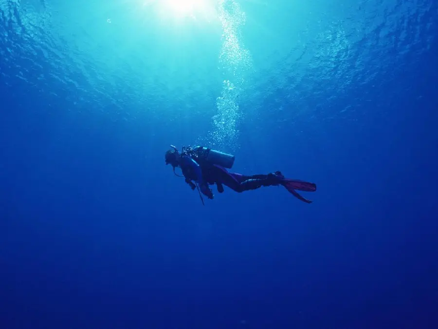 The most famous profile picture of diving in the sea for WhatsApp
