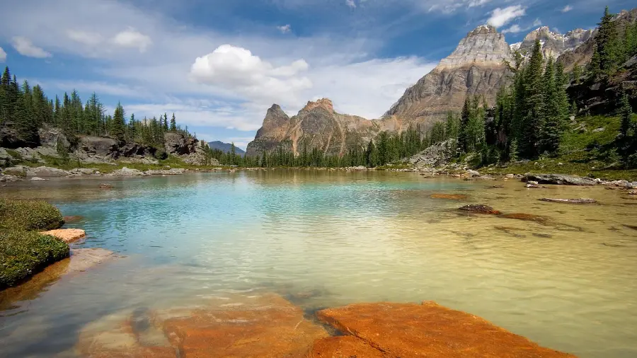 Unique profile photo of a clear and cool spring with very good quality