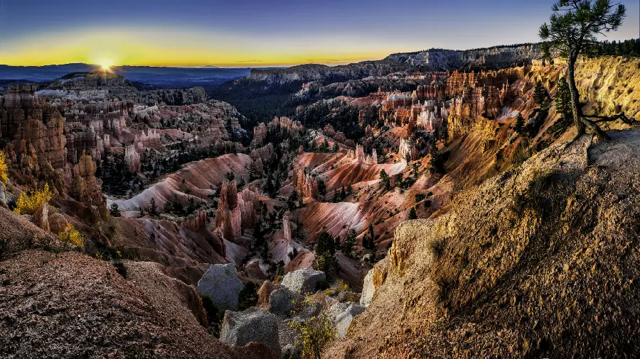 The most special art wallpaper for nature lovers' laptops