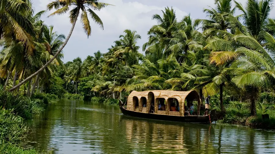 Amazing background of the sea full of palm trees in India