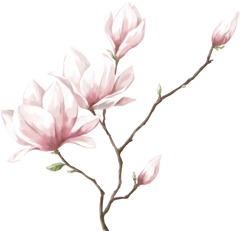 New photo of a very beautiful pink flower branch in excellent quality teleported PNG