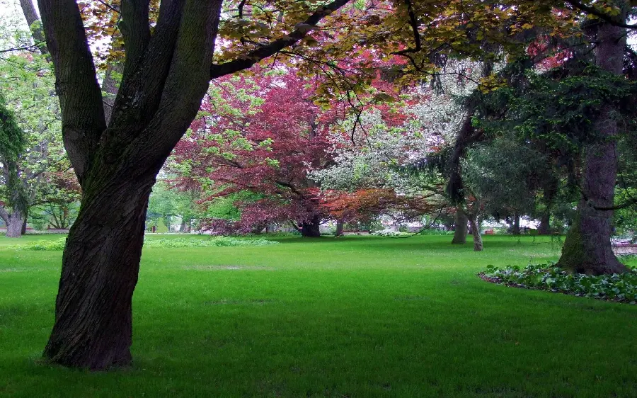 High Quality Spring Photo in Lush Park for Banner Printing