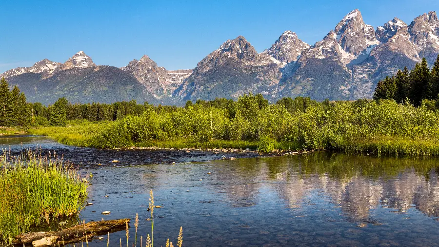 Refreshing view of mountains and river and green plants in a 4k frame