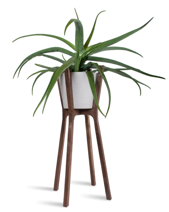 Photo of a pot and wooden stool of houseplants PNG