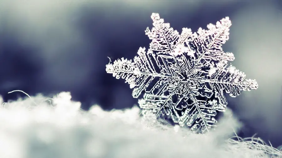 Close-up snowflake photo suitable for wallpaper and profile