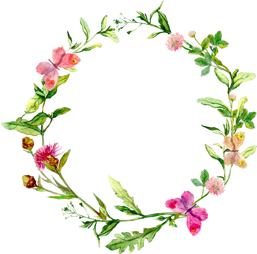 High Quality Circle Painting for Printing Without Background