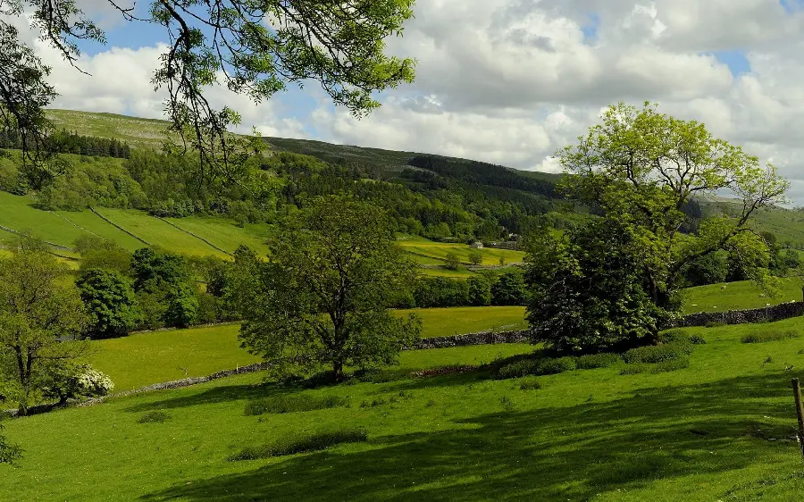 The best artistic background of lush nature nature full hd