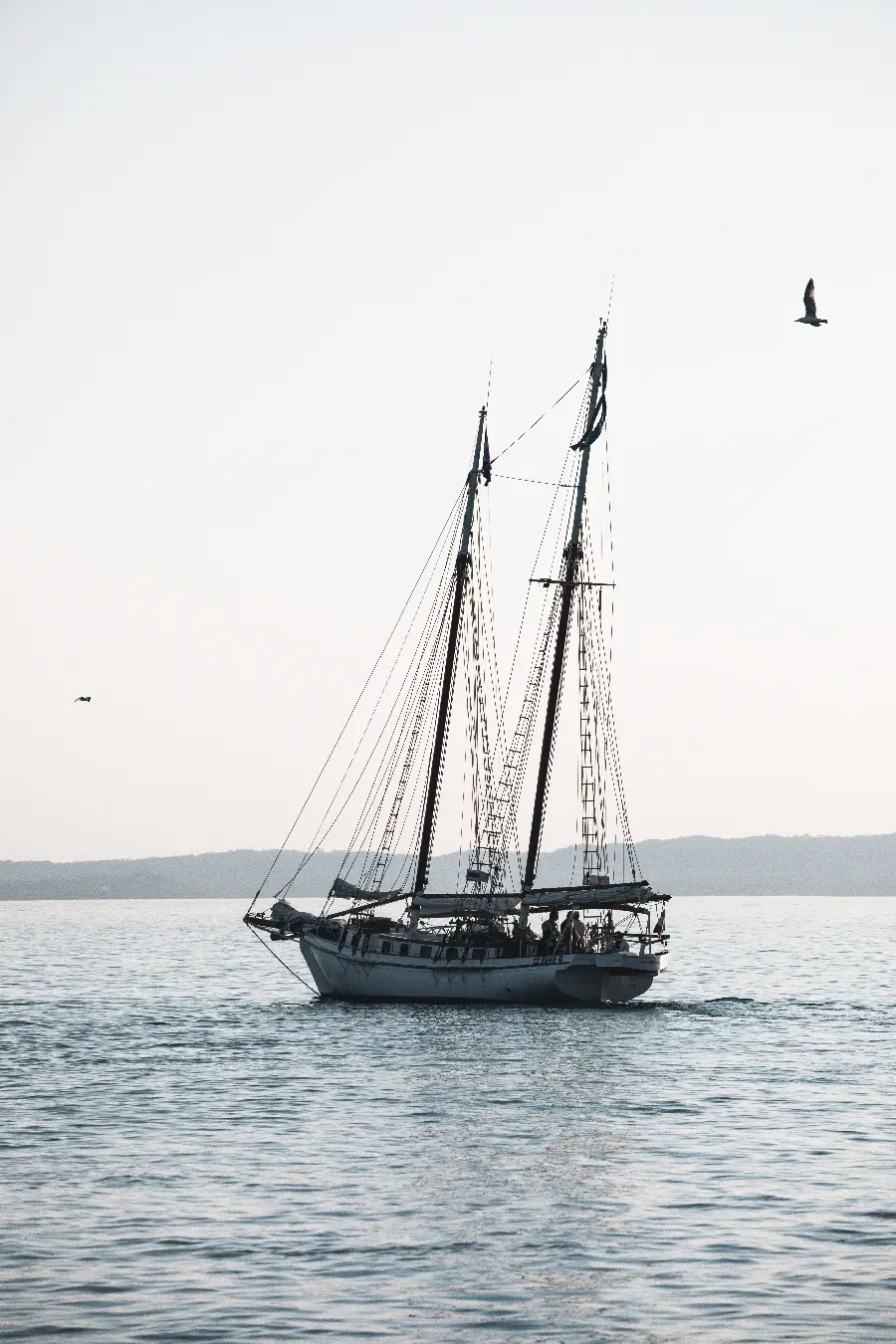 Attractive and high-quality wallpaper of a luxury boat on the sea for iPhone
