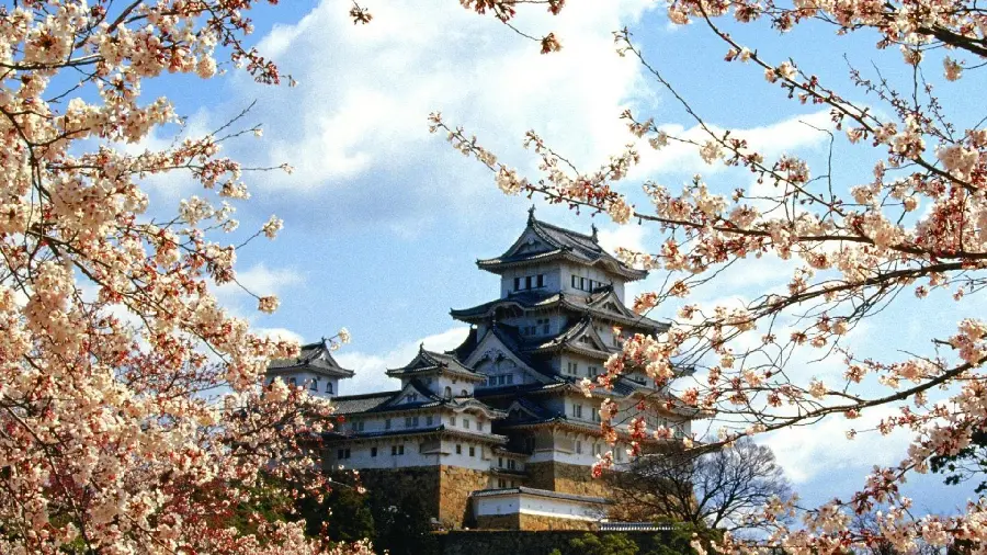 Photo of beautiful blossoms and architecture in the heart of Japanese nature